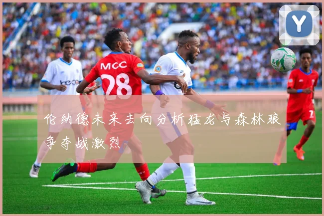 伦纳德未来去向分析猛龙与森林狼争夺战激烈