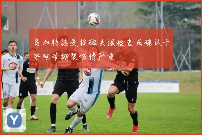 乌加特接受核磁共振检查或确认十字韧带撕裂伤情严重